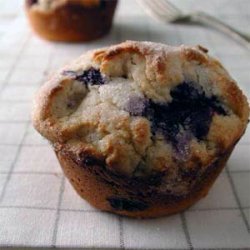 Spiced Blueberry Muffins recipe