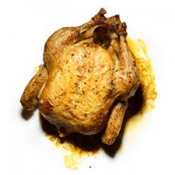 Organic Rosemary Roast Chicken recipe