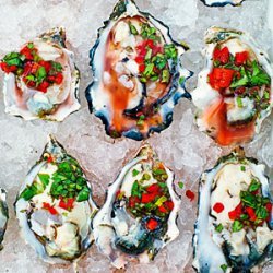 Oysters on the Half Shell with Chile, Cilantro, and Meyer Lemon Salsa recipe