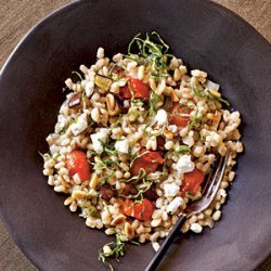 Barley Risotto with Eggplant and Tomatoes recipe