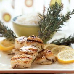 Diver Scallops Grilled on Rosemary recipe