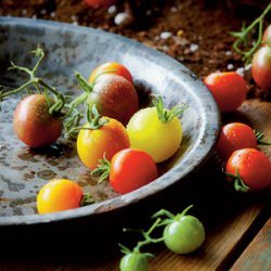 Roasted Cherry Tomatoes recipe