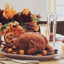 Roast Turkey with Apples, Onions, Fried Sage Leaves, and Apple Cider Gravy recipe