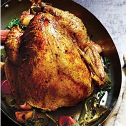 Apple-Poblano Whole Roast Turkey recipe
