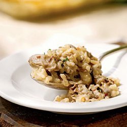 Oyster and Wild Rice Casserole recipe