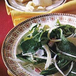Arugula, Fennel, and Parmesan Salad recipe