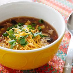Crock Pot Chicken Enchilada Soup recipe