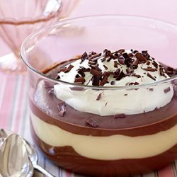 Double Chocolate Pudding recipe