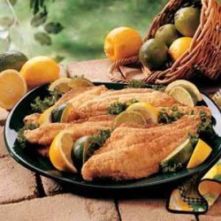 Golden Catfish Fillets recipe