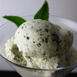 Easy Mint Chocolate Chip Ice Cream recipe