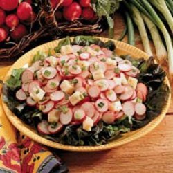 Zippy Radish Salad recipe