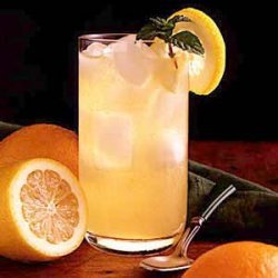Citrus Mint Cooler recipe