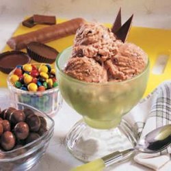 Chocolate Mint Ice Cream recipe