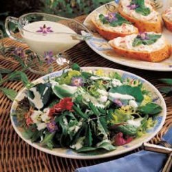 Borage Cucumber Salad Dressing recipe
