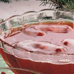 Cranberry Party Punch recipe