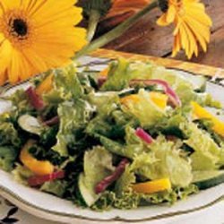 French Salad Dressing recipe