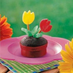 Flowerpot Cupcakes recipe