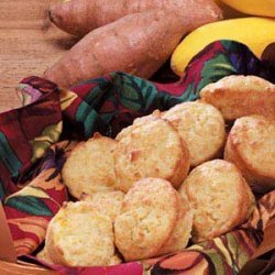 Yellow Squash Muffins recipe