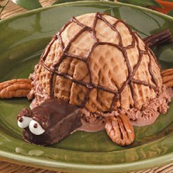 Ice Cream Turtle recipe