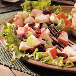 Honeyed Cranberry Waldorf Salad recipe