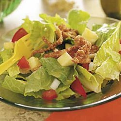 Tossed Salad with Wonton Strips recipe