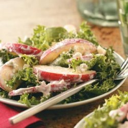 Apple and Gorgonzola Salad recipe