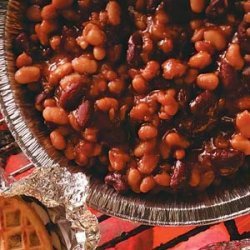 Barbecued Beans recipe