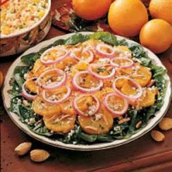 Onion Orange Salad recipe