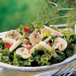 Fennel Green Salad recipe