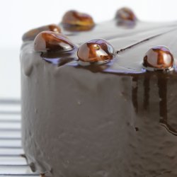 Chocolate Hazelnut Torte recipe