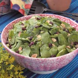 Cranberry Almond Spinach Salad recipe