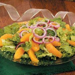 Orange 'n' Red Onion Salad recipe