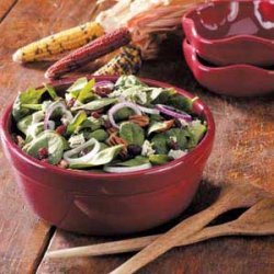Cranberry Pecan Spinach Salad recipe