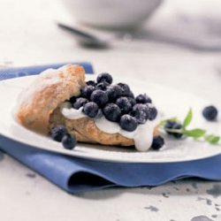 Blueberry Shortcake recipe