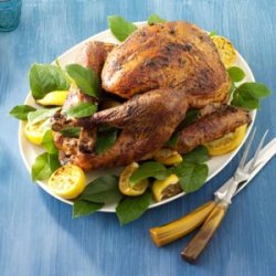Spice-Rubbed Turkey recipe