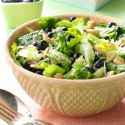Blueberry Romaine Salad recipe