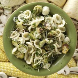Orecchiette with Roasted Brussels Sprouts recipe