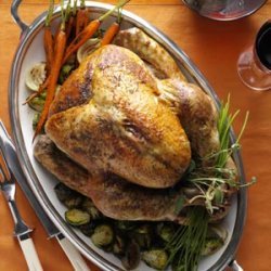 Herb-Roasted Turkey recipe
