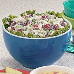 Family-Favorite Chicken Salad recipe
