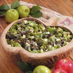 Apple Lettuce Salad recipe