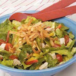 Chicken Salad with Crispy Wontons recipe