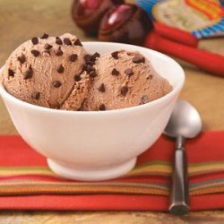 Cinnamon Chocolate Chip Ice Cream recipe