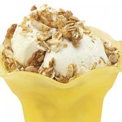 Low-Fat Vanilla Ice Cream recipe