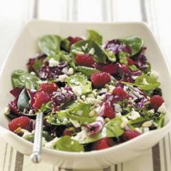 Special Radicchio-Spinach Salad recipe