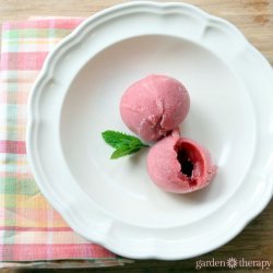 Rhubarb Sorbet recipe