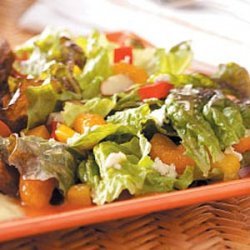 Red Leaf and Mandarin Salad recipe