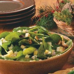 Lynn's Spinach & Apple Salad recipe