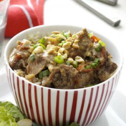 Satay-Style Pork Stew recipe