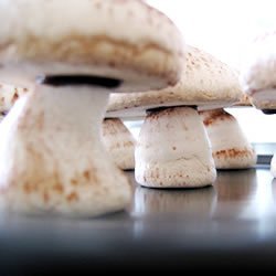 Meringue Mushrooms recipe