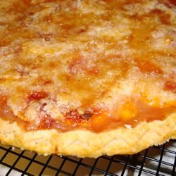 Single Crust Peach Pie recipe
